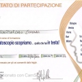 Ingrandire l'immagine: certificate 8