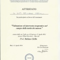 Ingrandire l'immagine: certificate 13