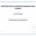 Ingrandire l'immagine: certificate 2