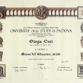 Ingrandire l'immagine: certificate 2