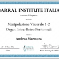 Ingrandire l'immagine: certificate 2