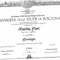 Ingrandire l'immagine: certificate 1