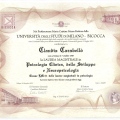 Ingrandire l'immagine: certificate 2