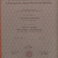 Ingrandire l'immagine: certificate 1