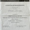 Ingrandire l'immagine: certificate 6