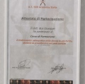 Ingrandire l'immagine: certificate 13