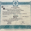 Ingrandire l'immagine: certificate 1