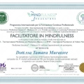 Ingrandire l'immagine: certificate 12