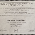 Ingrandire l'immagine: certificate 4