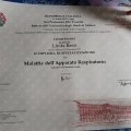 Ingrandire l'immagine: certificate 3