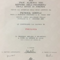 Ingrandire l'immagine: certificate 2