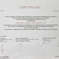 Ingrandire l'immagine: certificate 6