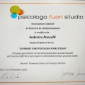 Ingrandire l'immagine: certificate 1