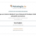 Ingrandire l'immagine: certificate 6