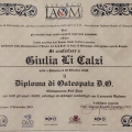 Ingrandire l'immagine: certificate 1