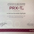 Ingrandire l'immagine: certificate 5