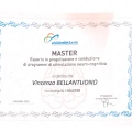 Ingrandire l'immagine: certificate 1