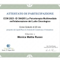 Ingrandire l'immagine: certificate 9