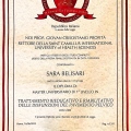 Ingrandire l'immagine: certificate 1