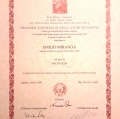 Ingrandire l'immagine: certificate 1