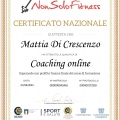 Ingrandire l'immagine: certificate 14