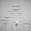 Ingrandire l'immagine: certificate 3