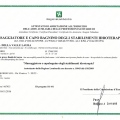 Ingrandire l'immagine: certificate 2