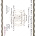 Ingrandire l'immagine: certificate 4
