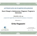 Ingrandire l'immagine: certificate 3
