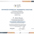 Ingrandire l'immagine: certificate 4