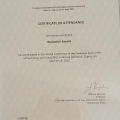 Ingrandire l'immagine: certificate 10