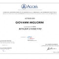 Ingrandire l'immagine: certificate 9