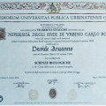 Ingrandire l'immagine: certificate 1