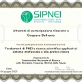 Ingrandire l'immagine: certificate 8