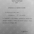 Ingrandire l'immagine: certificate 2