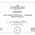 Ingrandire l'immagine: certificate 17