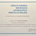 Ingrandire l'immagine: certificate 11