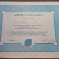 Ingrandire l'immagine: certificate 9