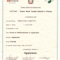 Ingrandire l'immagine: certificate 1