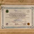 Ingrandire l'immagine: certificate 5