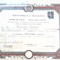 Ingrandire l'immagine: certificate 2