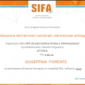 Ingrandire l'immagine: certificate 2