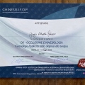 Ingrandire l'immagine: certificate 4