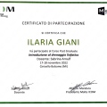 Ingrandire l'immagine: certificate 4