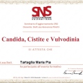 Ingrandire l'immagine: certificate 4