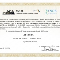 Ingrandire l'immagine: certificate 4