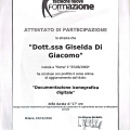 Ingrandire l'immagine: certificate 3