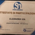 Ingrandire l'immagine: certificate 17