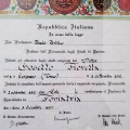 Ingrandire l'immagine: certificate 4
