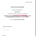 Ingrandire l'immagine: certificate 6